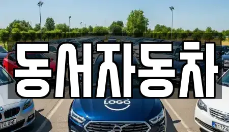 경상남도 창원시 진해구 인사동 중고차매매,단기렌트카,중고차매입,장기렌트카,중고차,렌트카