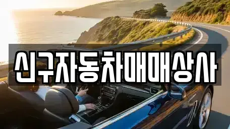 경상남도 창원시 진해구 중평동 중고차 전문 신구자동차매매상사