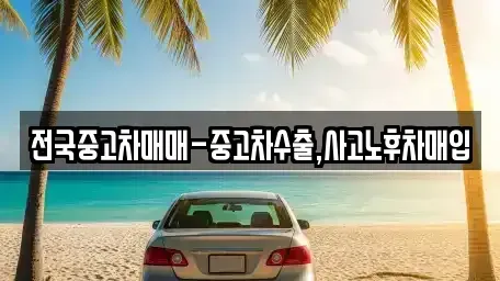 경상남도 창원시 진해구 중평동 중고차매입 전문 전국중고차매매-중고차수출,사고노후차매입