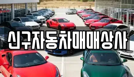 경상남도 하동군 옥종면 중고차매매 전문 신구자동차매매상사