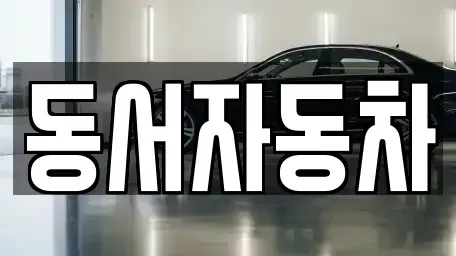 경상북도 경산시 유곡동 중고차매매 전문 동서자동차