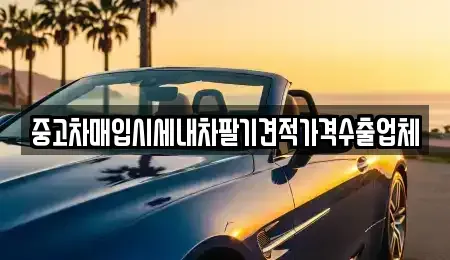 경상북도 고령군 다산면 중고차매입 전문 중고차매입시세내차팔기견적가격수출업체