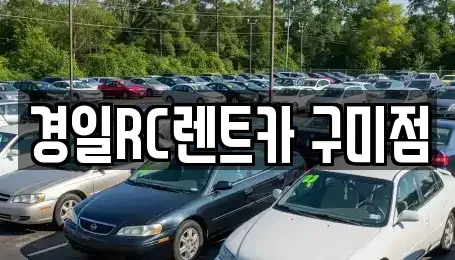 경상북도 구미시 남통동 렌트카 전문 경일RC렌트카 구미점