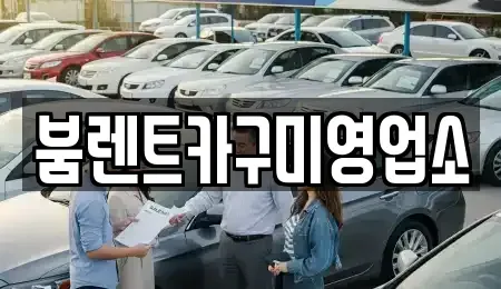 경상북도 구미시 남통동 렌트카 전문 붐렌트카구미영업소