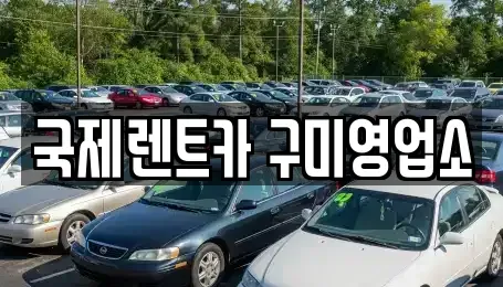 경상북도 구미시 임수동 렌트카 전문 국제렌트카 구미영업소