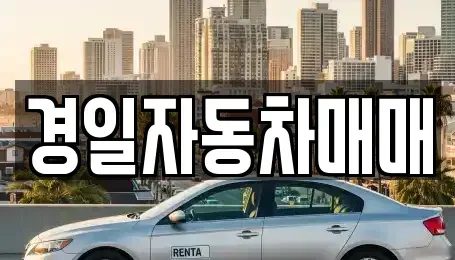 경상북도 구미시 임수동 중고차 전문 경일자동차매매