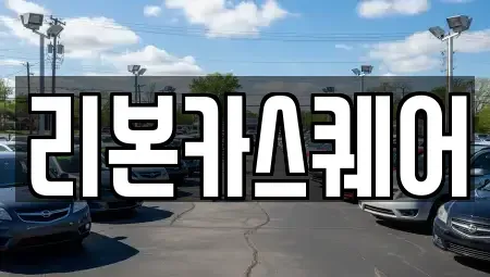 경상북도 구미시 임수동 중고차 전문 리본카스퀘어
