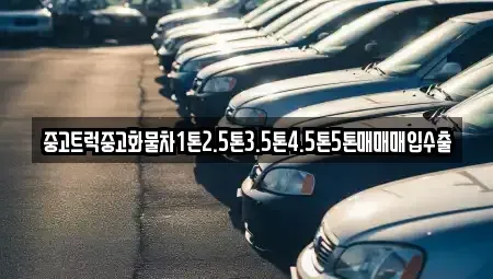 경상북도 안동시 길안면 중고차매입 전문 중고트럭중고화물차1톤2.5톤3.5톤4.5톤5톤매매매입수출