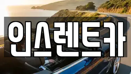 경상북도 안동시 법상동 단기렌트카 전문 인스렌트카