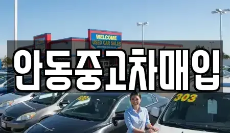 경상북도 안동시 법상동 중고차매매,단기렌트카,중고차매입,장기렌트카,중고차,렌트카