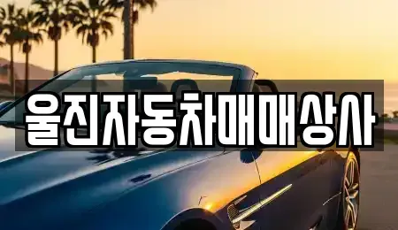 경상북도 울진군 중고차 전문 울진자동차매매상사