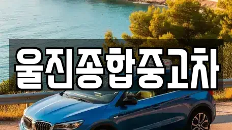 경상북도 울진군 중고차 전문 울진종합중고차