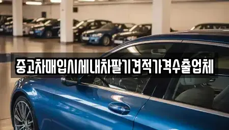 경상북도 울진군 중고차매입 전문 중고차매입시세내차팔기견적가격수출업체