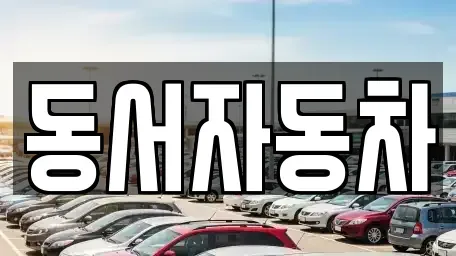 경상북도 포항시 남구 청림동 중고차 전문 동서자동차