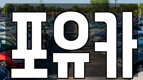 경상북도 포항시 남구 청림동 중고차매입 전문 포유카