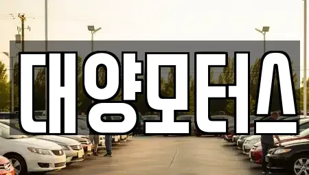 광주 광산구 산정동 중고차매매 전문 대양모터스