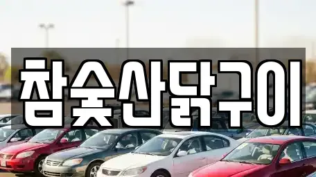 광주 광산구 운남동 중고차매매,단기렌트카,중고차매입,장기렌트카,중고차,렌트카