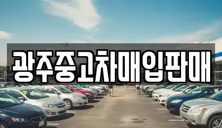 광주 광산구 운남동 중고차매입 전문 광주중고차매입판매