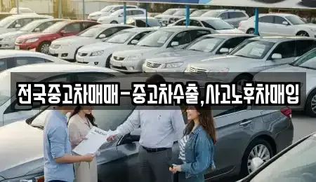 광주 남구 노대동 중고차매입 전문 전국중고차매매-중고차수출,사고노후차매입