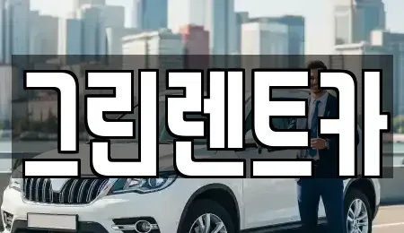 광주 남구 양림동 장기렌트카 전문 그린렌트카