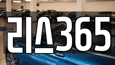 광주 남구 월산동 장기렌트카 전문 리스365