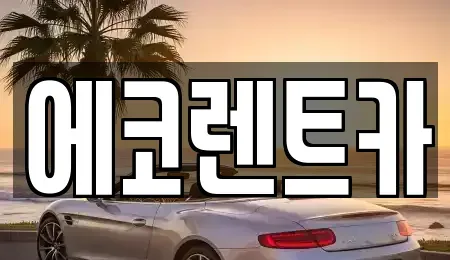 광주 북구 용전동 렌트카 전문 에코렌트카