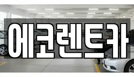 광주 북구 월출동 렌트카 전문 에코렌트카