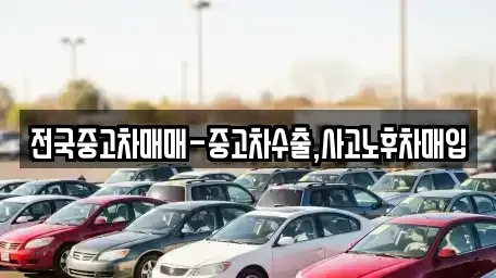 광주 북구 월출동 중고차매입 전문 전국중고차매매-중고차수출,사고노후차매입