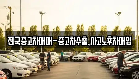 광주 서구 광천동 중고차매매 전문 전국중고차매매-중고차수출,사고노후차매입