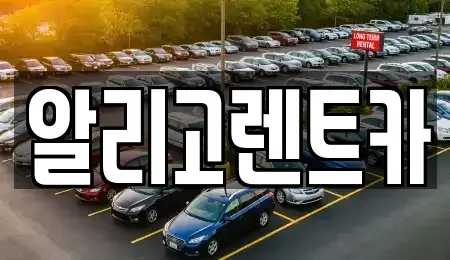 광주 서구 벽진동 단기렌트카 전문 알리고렌트카