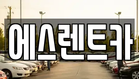 광주 서구 벽진동 렌트카 전문 에스렌트카