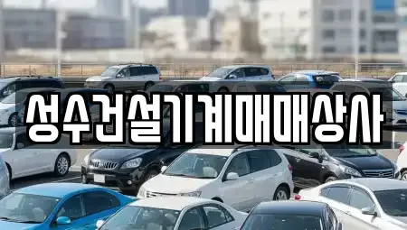 광주 서구 벽진동 중고차매매 전문 성수건설기계매매상사
