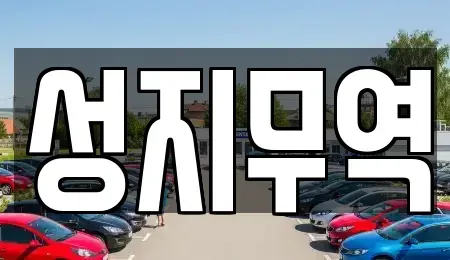 광주 서구 벽진동 중고차매매,단기렌트카,중고차매입,장기렌트카,중고차,렌트카