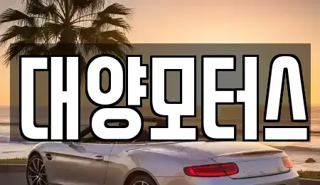 광주광역시 광산구 신촌동 중고차 전문 대양모터스