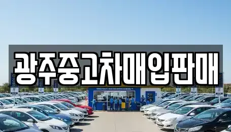 광주광역시 광산구 옥동 중고차매입 전문 광주중고차매입판매