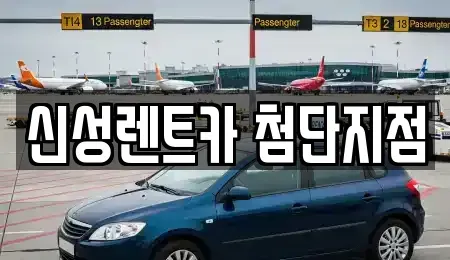 광주광역시 광산구 월계동 렌트카 전문 신성렌트카 첨단지점