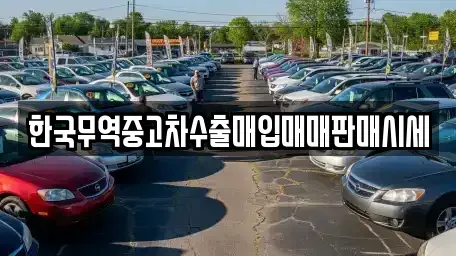 광주광역시 광산구 월계동 중고차 전문 한국무역중고차수출매입매매판매시세
