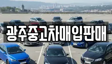 광주광역시 광산구 하남동 중고차매입 전문 광주중고차매입판매