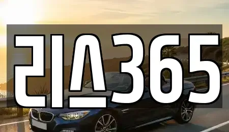 광주광역시 남구 봉선동 장기렌트카 전문 리스365