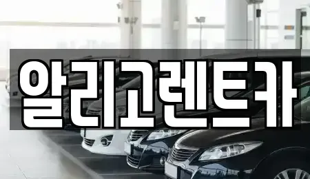 광주광역시 단기렌트카 전문 알리고렌트카