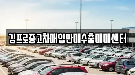 광주광역시 동구 충장로5가 중고차 전문 김프로중고차매입판매수출매매센터