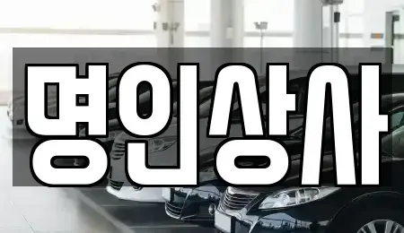 광주광역시 동구 충장로5가 중고차 전문 명인상사