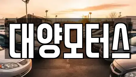 광주광역시 동구 충장로5가 중고차매매 전문 대양모터스