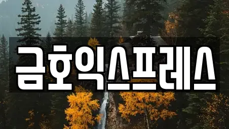 금호익스프레스