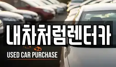 대구 군위군 부계면 렌트카 전문 내차처럼렌터카