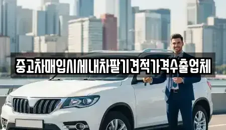 대구 군위군 부계면 중고차 전문 중고차매입시세내차팔기견적가격수출업체