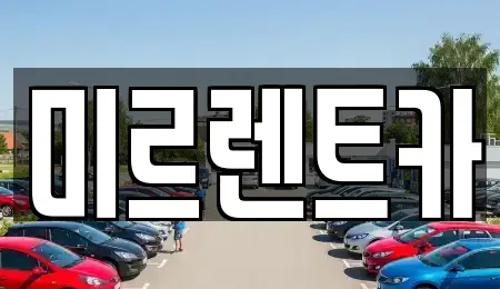 대구 달서구 본리동 렌트카 전문 미르렌트카