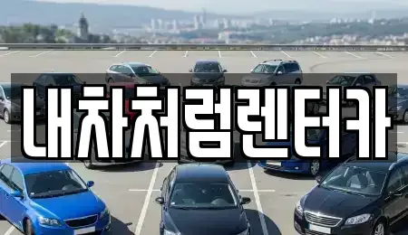 대구 달서구 이곡동 렌트카,단기렌트카,장기렌트카,중고차,중고차매매,중고차매입