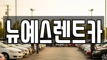 대구 달서구 이곡동 렌트카 전문 뉴예스렌트카