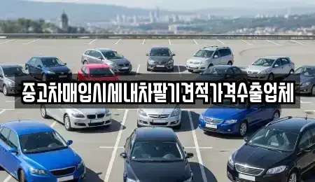 대구 달서구 이곡동 중고차 전문 중고차매입시세내차팔기견적가격수출업체